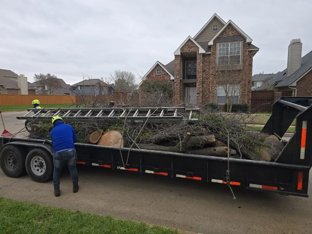 Expert Tree Fertilization with proper safety equipment in Clinton
